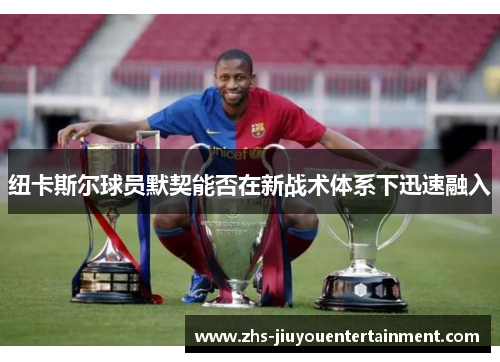 纽卡斯尔球员默契能否在新战术体系下迅速融入